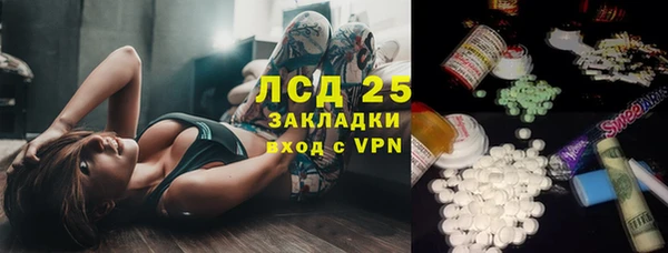 индика Абинск