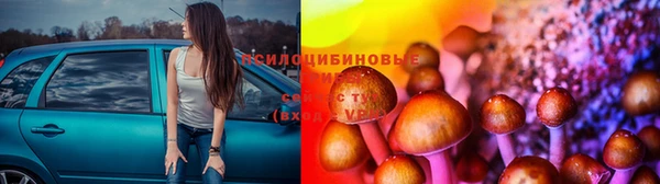 индика Абинск