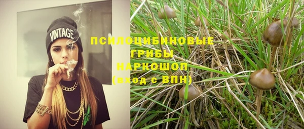 стафф Абаза