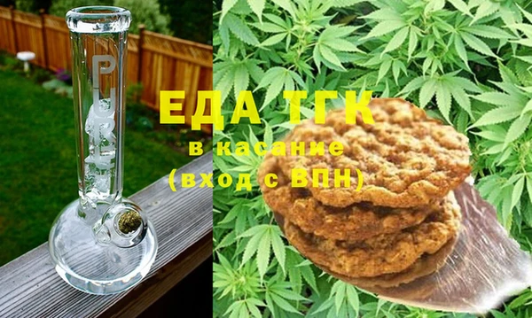 индика Абинск